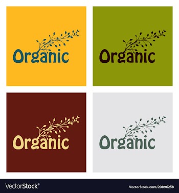 Calligraphy in eco-style with tree on the letter vector image