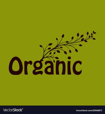Calligraphy in eco-style with tree on the letter vector image