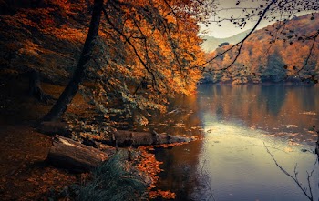 Calm Body of Lake