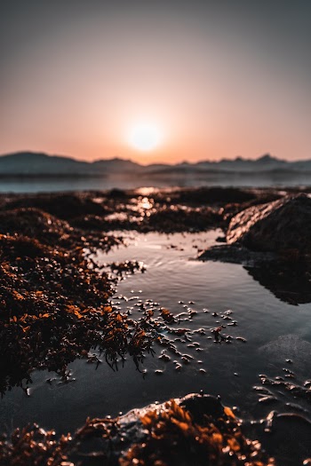 Calm Body of Water