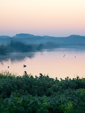 Calm Body Of Water