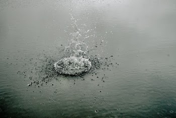Calm Body of Water