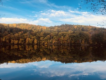 Calm Body Of Water