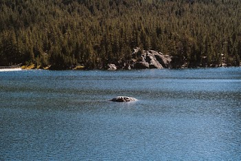 Calm Body Of Water