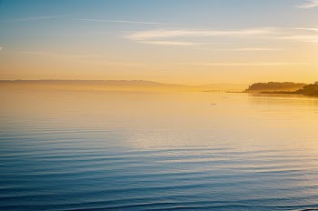 Calm Body of Water