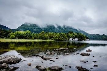 Calm Body of Water