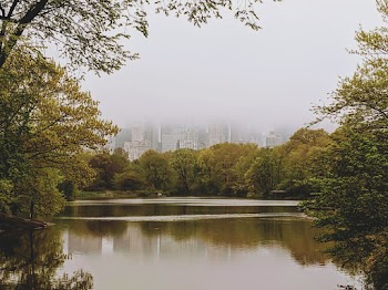 Calm Body Of Water
