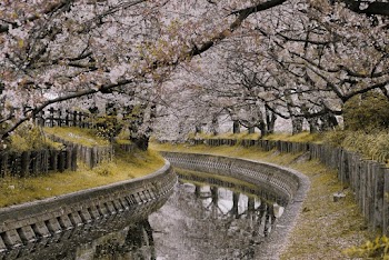 Calm Body of Water Between Gray Concrete Awll