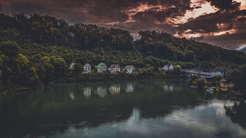 Calm Body of Water Between Trees