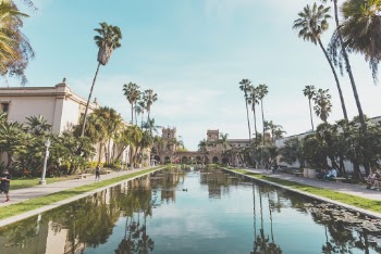 Calm Body of Water Near Building