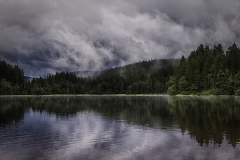 Calm Body of Water Near Forest