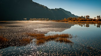 Calm Body Of Water Near Mountain 