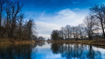 Calm Body of Water Near Trees Under Blue Sky