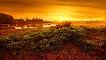 Calm Body of Water Surrounded by Grass during Golden Hour