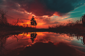 Calm Body of Water Surrounded by Trees during Golden Hour