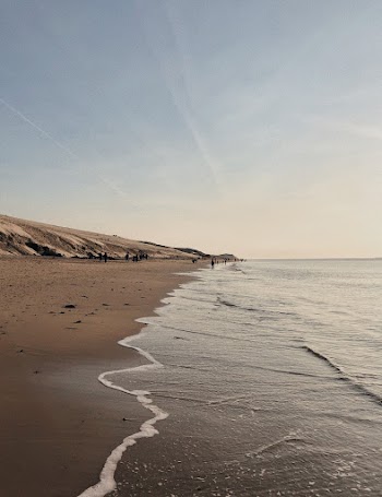 Calm Ocean