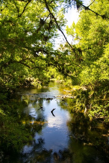 Calm River
