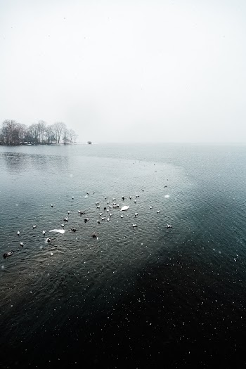 Calm Sea