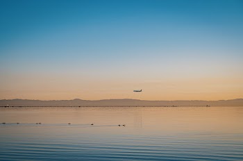 Calm Sea
