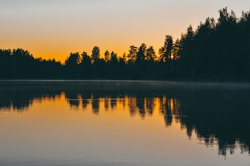 Calm Water Near Trees At Sunset