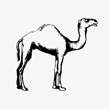 Camel clipart, drawing illustration vector. | Free Vector Illustration - rawpixel