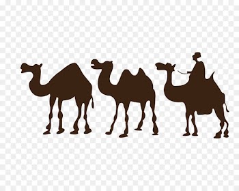 Camel Desert Drawing Clip art - Camel Silhouette 