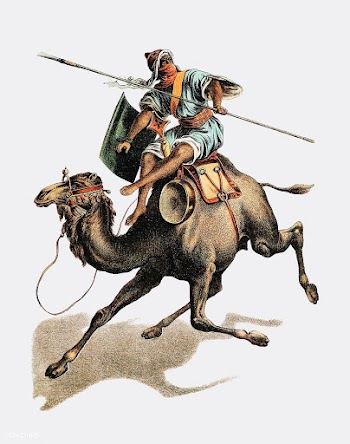 Camel from Johnson's household book of na.. | Free stock vector - 471371