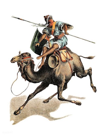Camel from Johnson's household book of na.. | Free stock vector - 471395