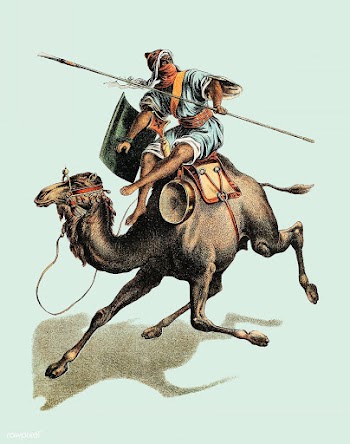 Camel from Johnson's household book of na.. | Free stock vector - 471406