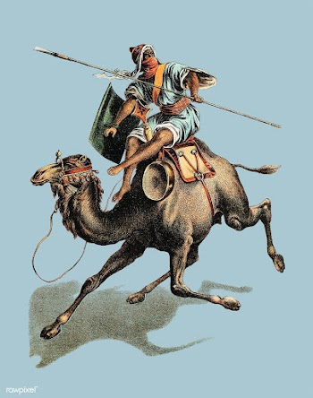 Camel from Johnson's household book of na.. | Free stock vector - 471425