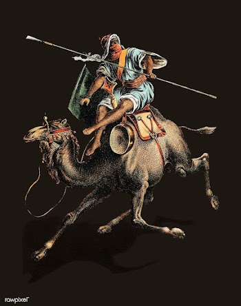 Camel from Johnson's household book of na.. | Free stock vector - 471447