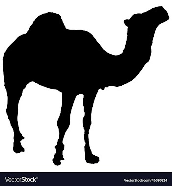 camel icon silhouette