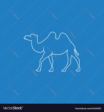 Camel line art silhouette vector image