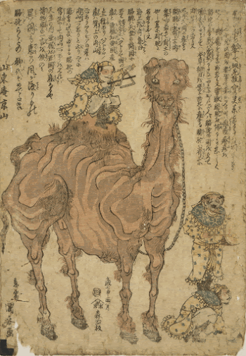 [Camel]. Original from the Library | Free Photo - rawpixel