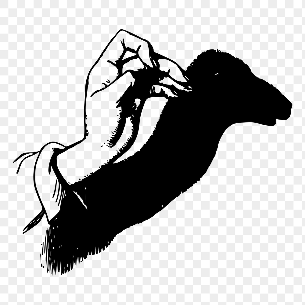 Camel png shadow puppet sticker | Free PNG - rawpixel