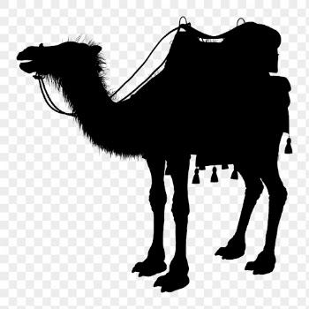 Camel png sticker animal silhouette, | Free PNG - rawpixel