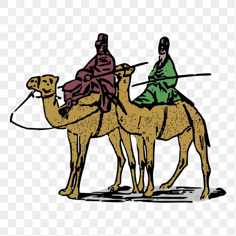 Camel ride png sticker illustration, | Free PNG - rawpixel