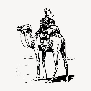 Camel rider drawing, vintage illustration | Free Vector - rawpixel