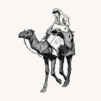 Camel rider drawing, vintage illustration | Free Vector - rawpixel