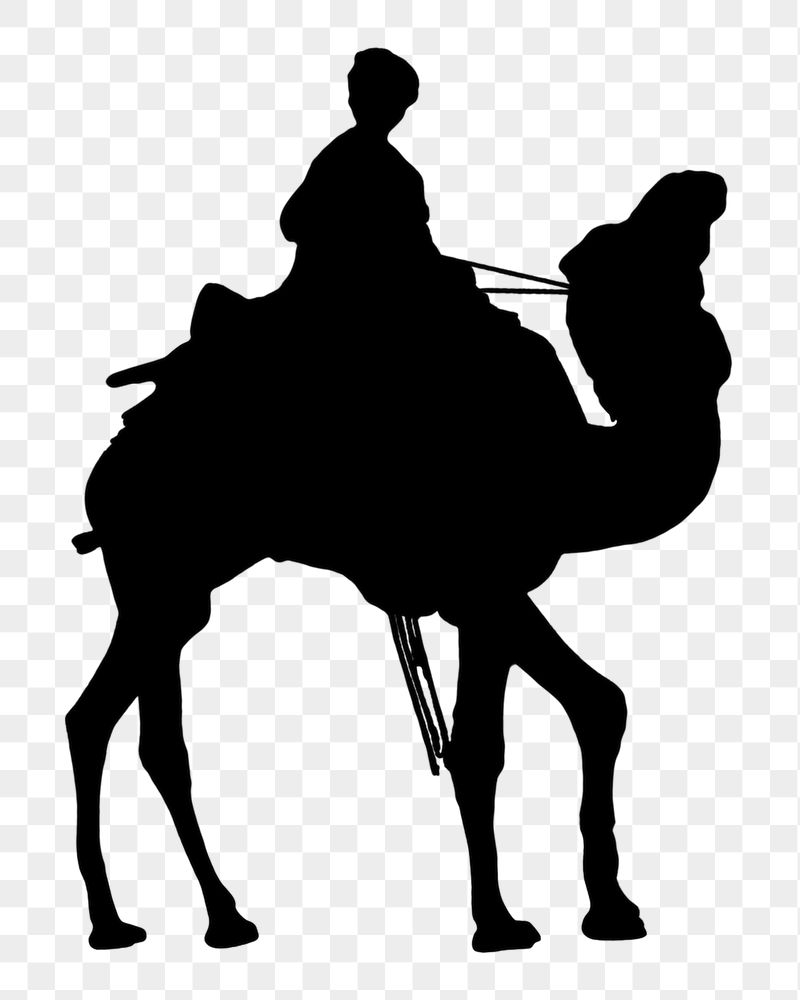 Camel rider png silhouette sticker, | Free PNG - rawpixel