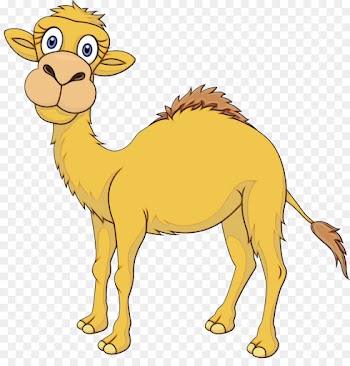 Camel, Royalty Payment, Stock Photography, Vertebrate PNG