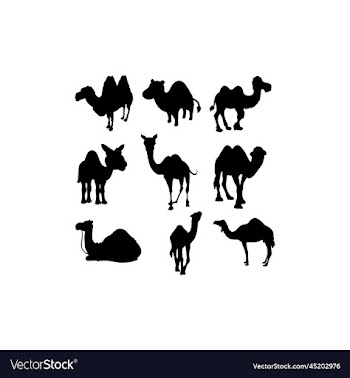 camel set collection silhouette design