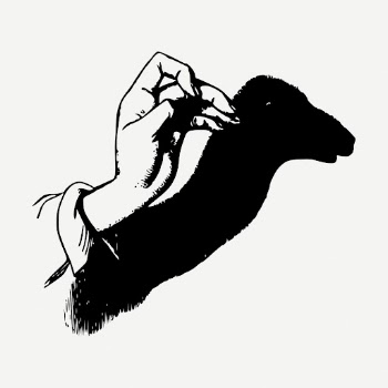 Camel shadow puppet clip art | Free PSD - rawpixel