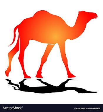 camel silhouette