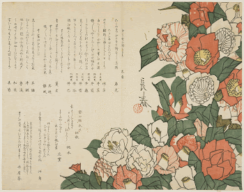 Camellia Flowers (ca. 1820) print | Free Photo - rawpixel