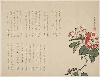 CamelliaOriginal from the Minneapolis Institute | Free Photo - rawpixel