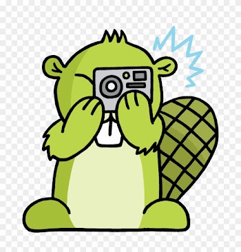 Camera Adsy - Thumb Signal