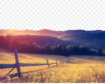 Camera Android Mobile app Selfie Photography - Beautiful mountain scenery field 