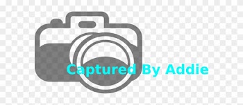 Camera Clip Art