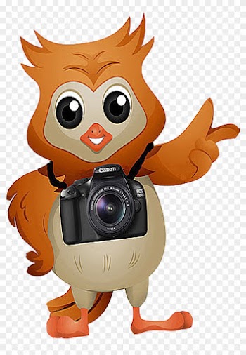 Camera Clipart Owl - Cartoon Owl With A Camera